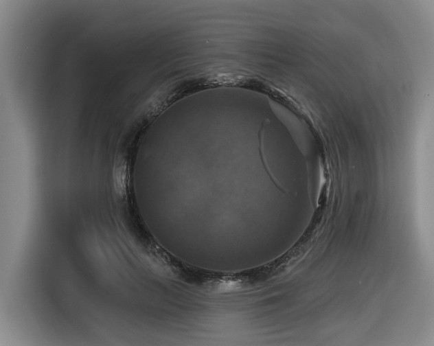 X0000116450647200912081619