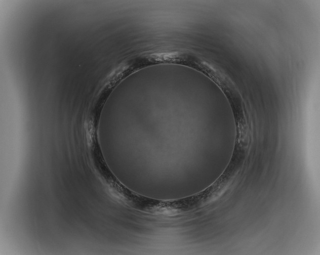 X0000116450648200912081619
