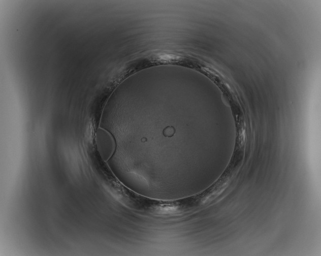 X0000116450651200912081619