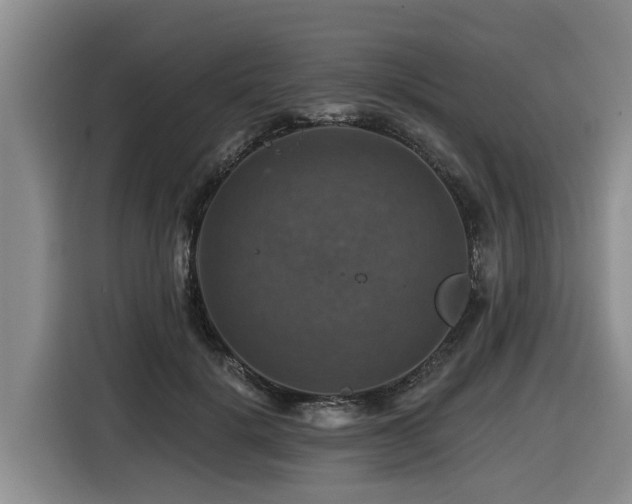 X0000116450652200912081619