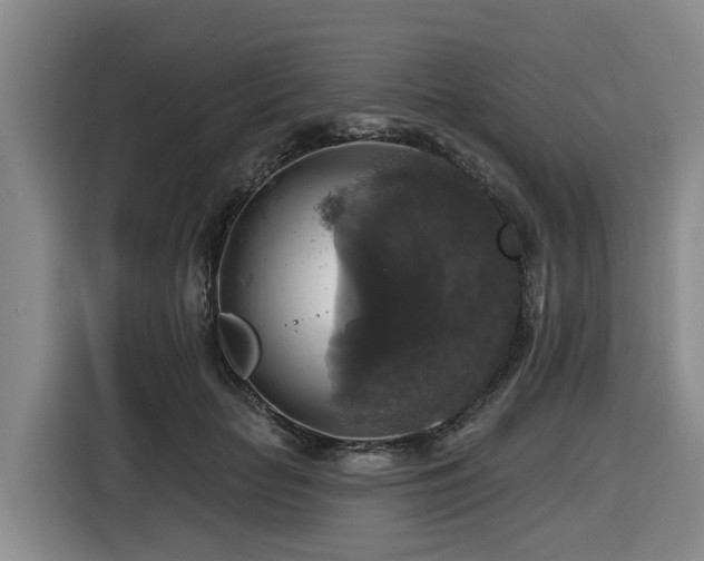 X0000116450653200912081619