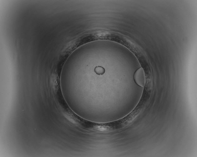 X0000116450654200912081619