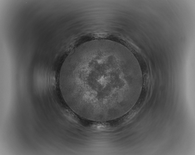 X0000116450655200912081619