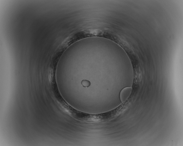 X0000116450656200912081619