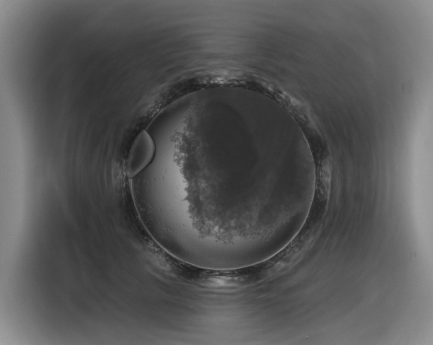 X0000116450657200912081619
