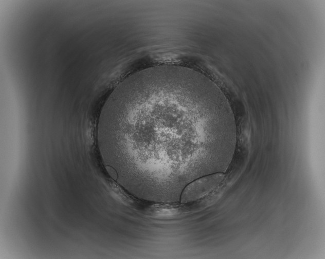 X0000116450658200912081619