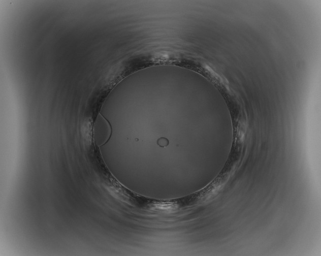 X0000116450659200912081619