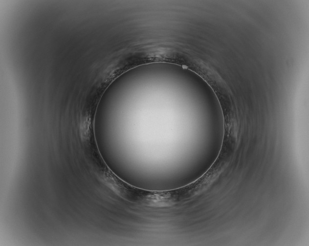 X0000116450660200912081619