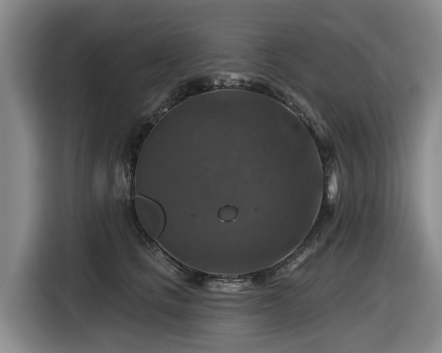 X0000116450661200912081619