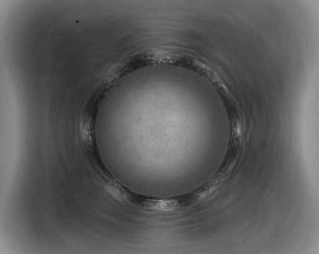 X0000116450663200912081619