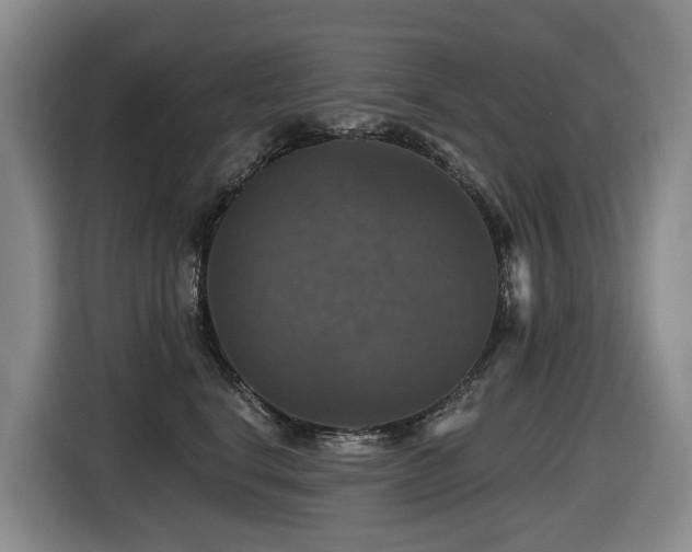 X0000116450664200912081619