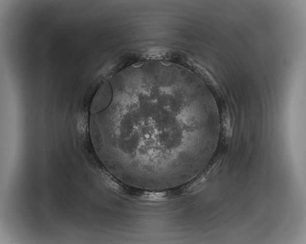 X0000116450665200912081619