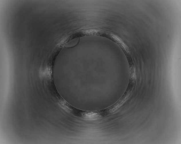 X0000116450669200912081619
