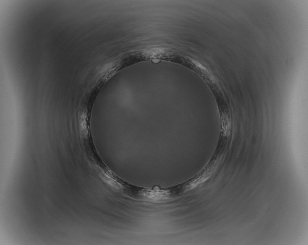 X0000116450670200912081619