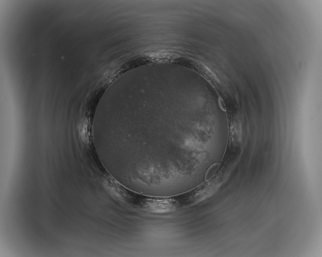 X0000116450671200912081619