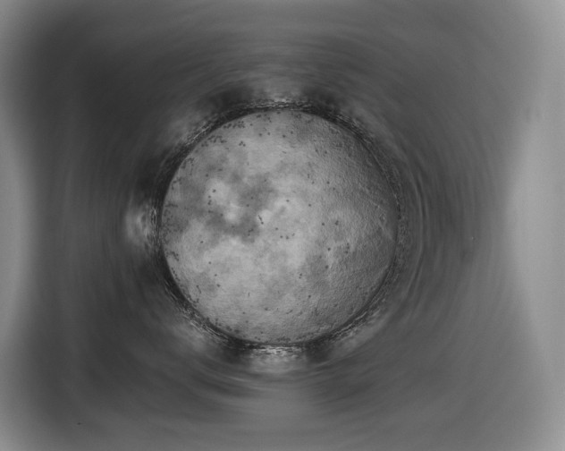 X0000116450672200912081619