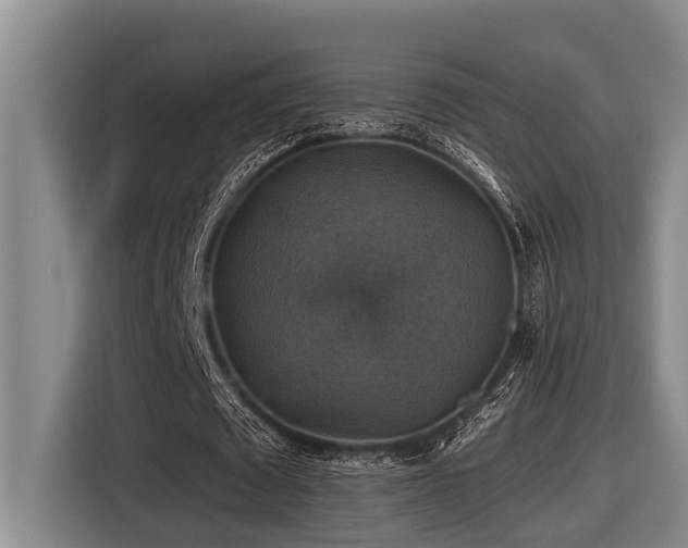 X0000116450673200912081619