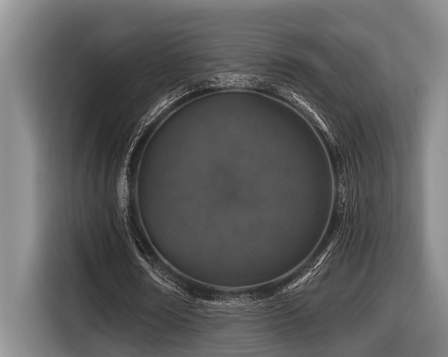 X0000116450674200912081619
