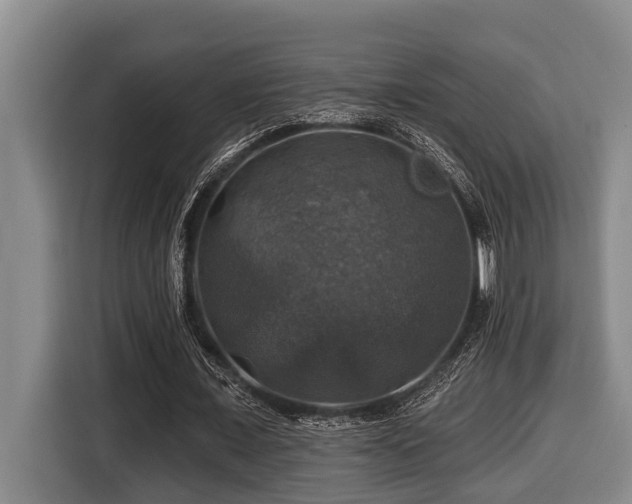 X0000116450675200912081619