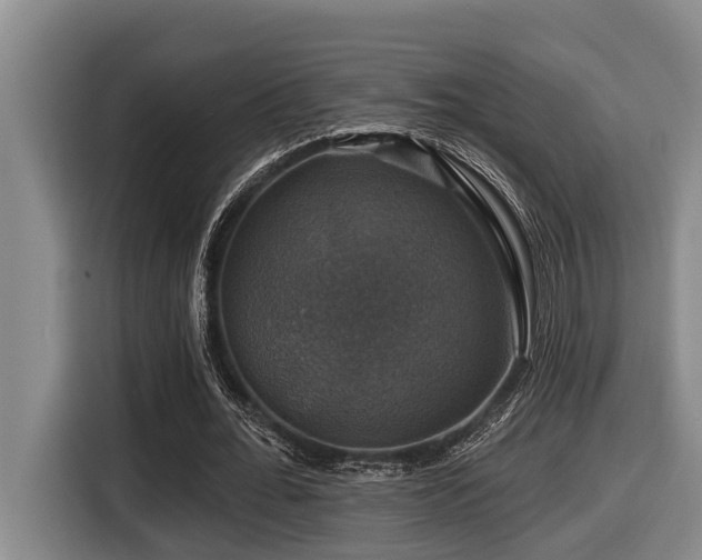 X0000116450676200912081619