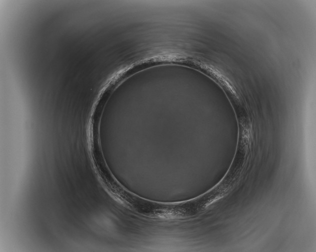 X0000116450678200912081619