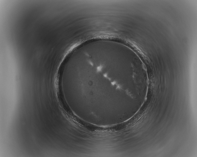 X0000116450679200912081619