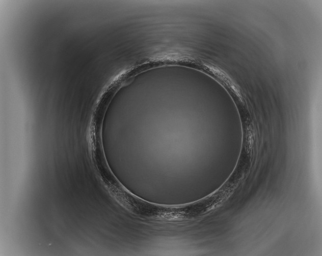 X0000116450680200912081618