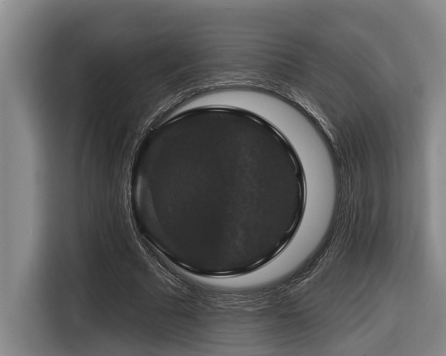 X0000116450681200912081618