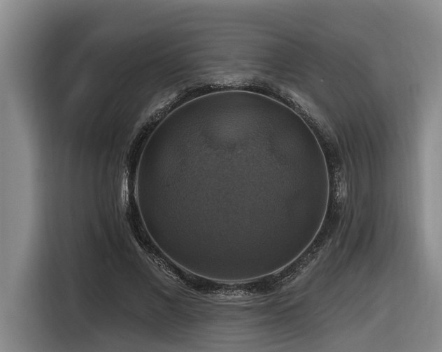 X0000116450685200912081618