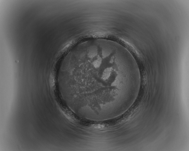 X0000116450687200912081618