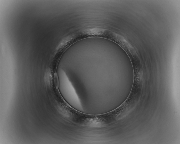 X0000116450688200912081618