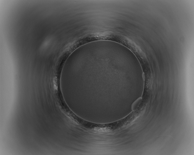 X0000116450689200912081618