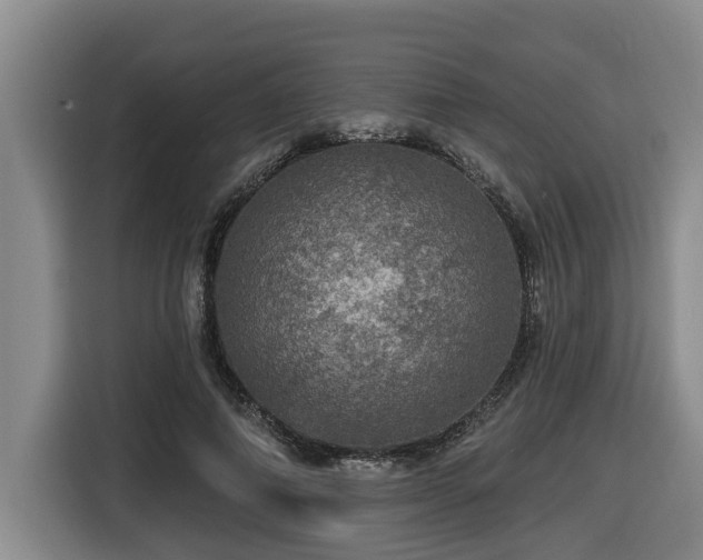 X0000116450690200912081618