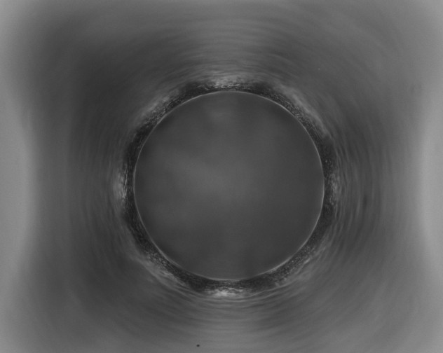X0000116450691200912081618
