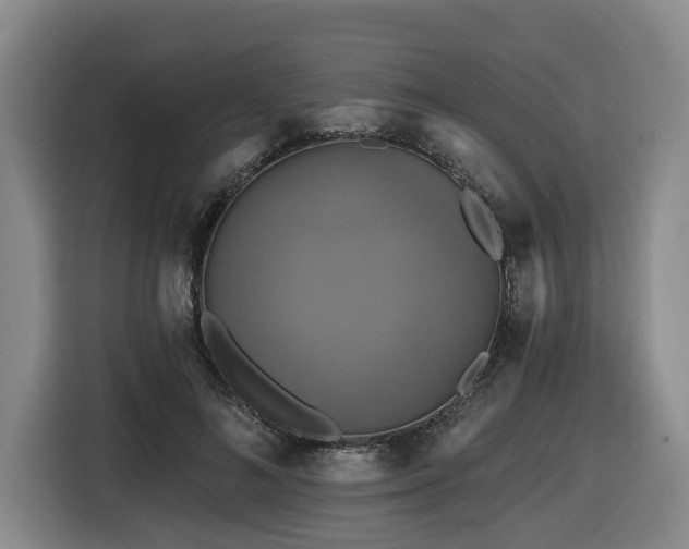 X0000116450692200912081618