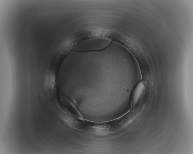 X0000116450693200912081618