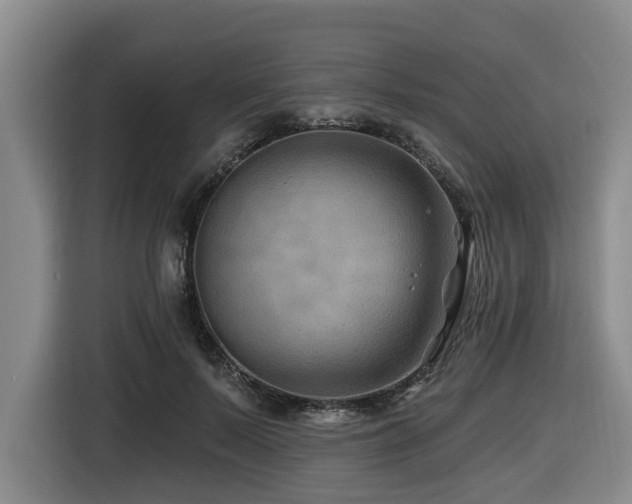X0000116450695200912081618