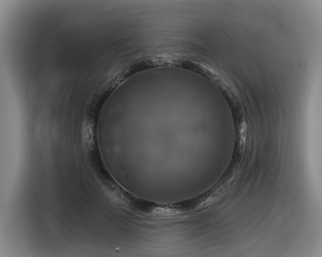 X0000116450699200912081618