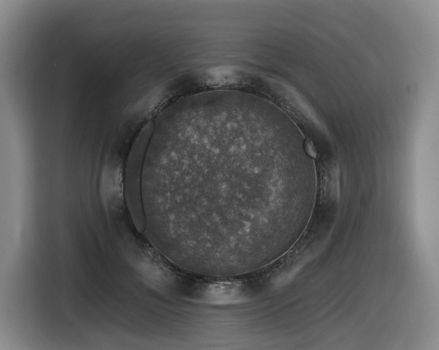 X0000116450700200912081618