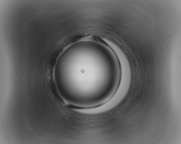 X0000116450701200912081618