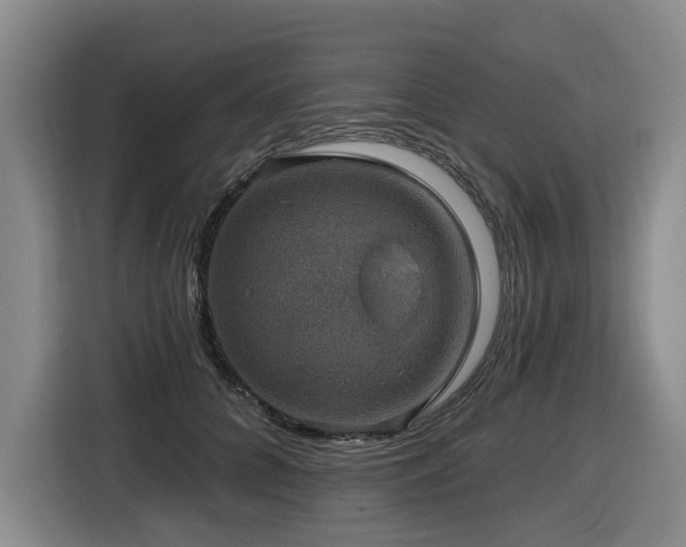 X0000116450704200912081618