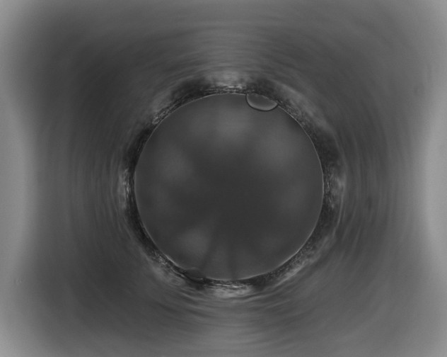 X0000116450707200912081618