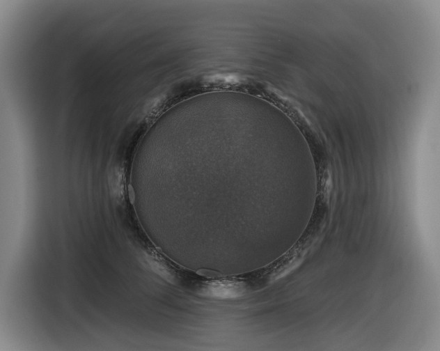 X0000116450708200912081618