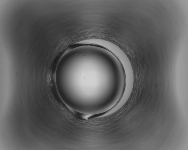 X0000116450709200912081618