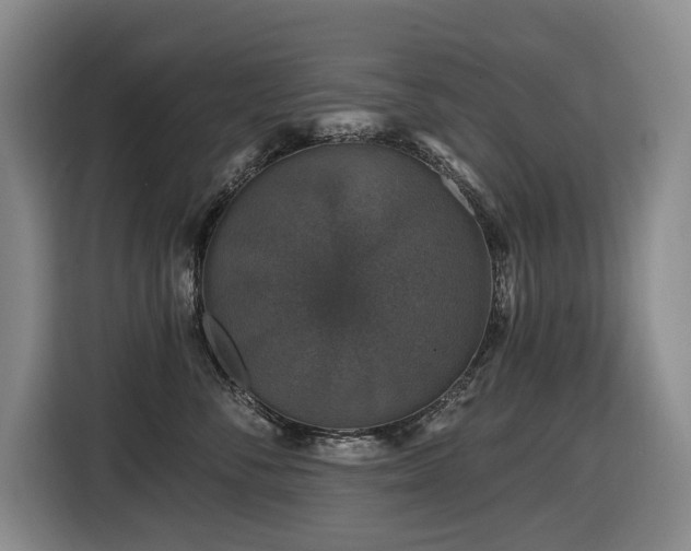 X0000116450716200912081618