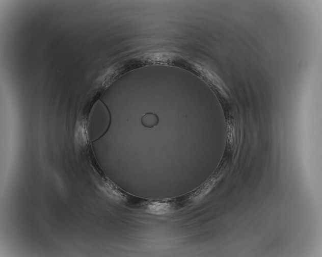 X0000116450718200912081618