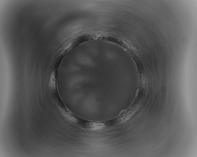 X0000116450719200912081618