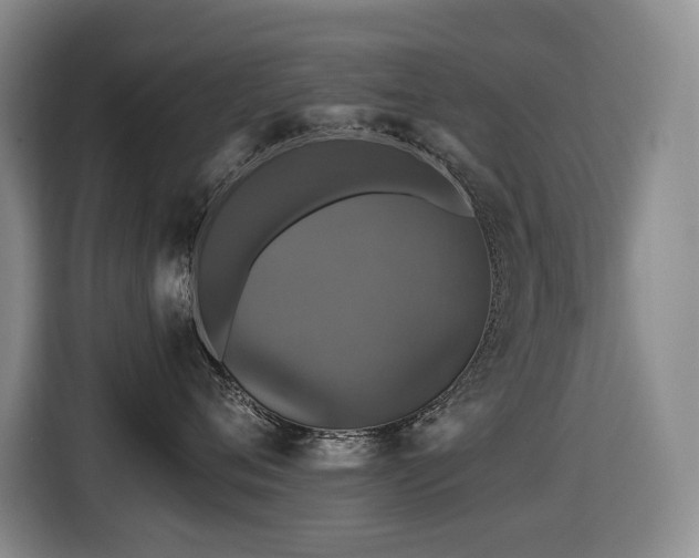 X0000116450720200912081618