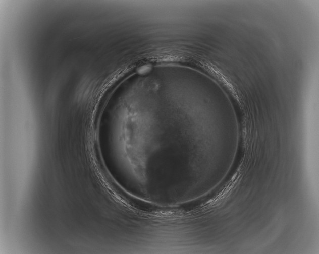 X0000116450721200912081617