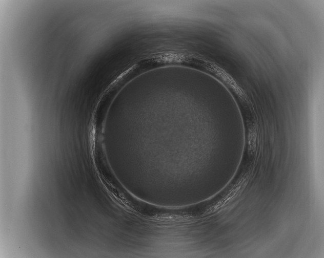 X0000116450722200912081617
